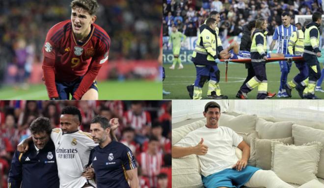 强其防御能 强其防御能